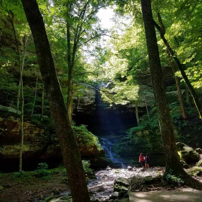 Near Waterfall Trail