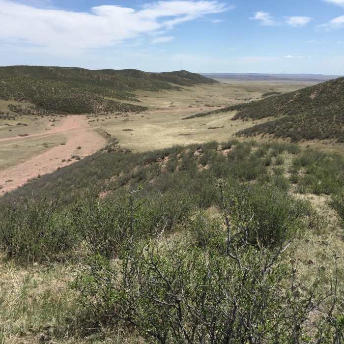 Near Mahogany to Towhee Loop