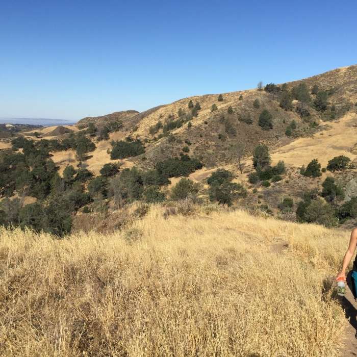 Near Grass Mountain Trail