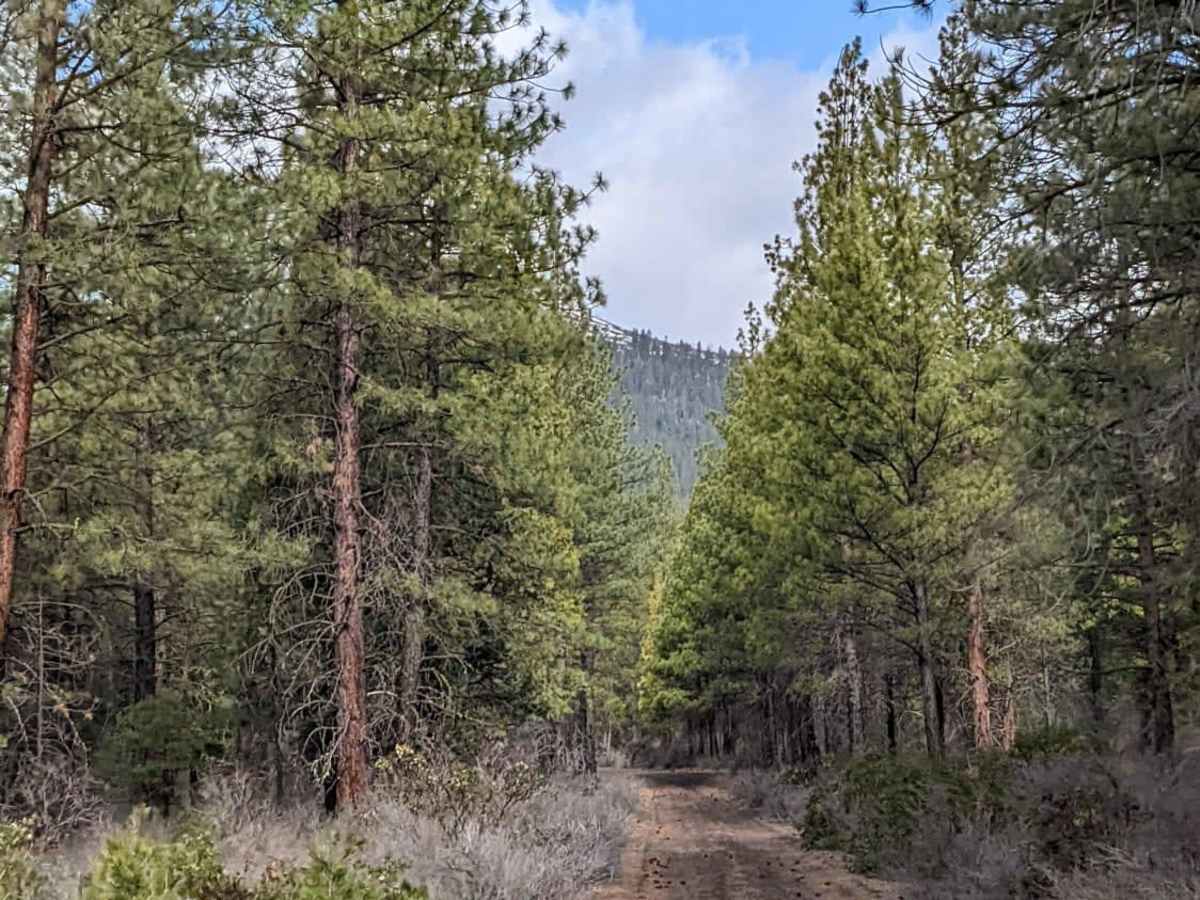 North Indian Ford trail photo