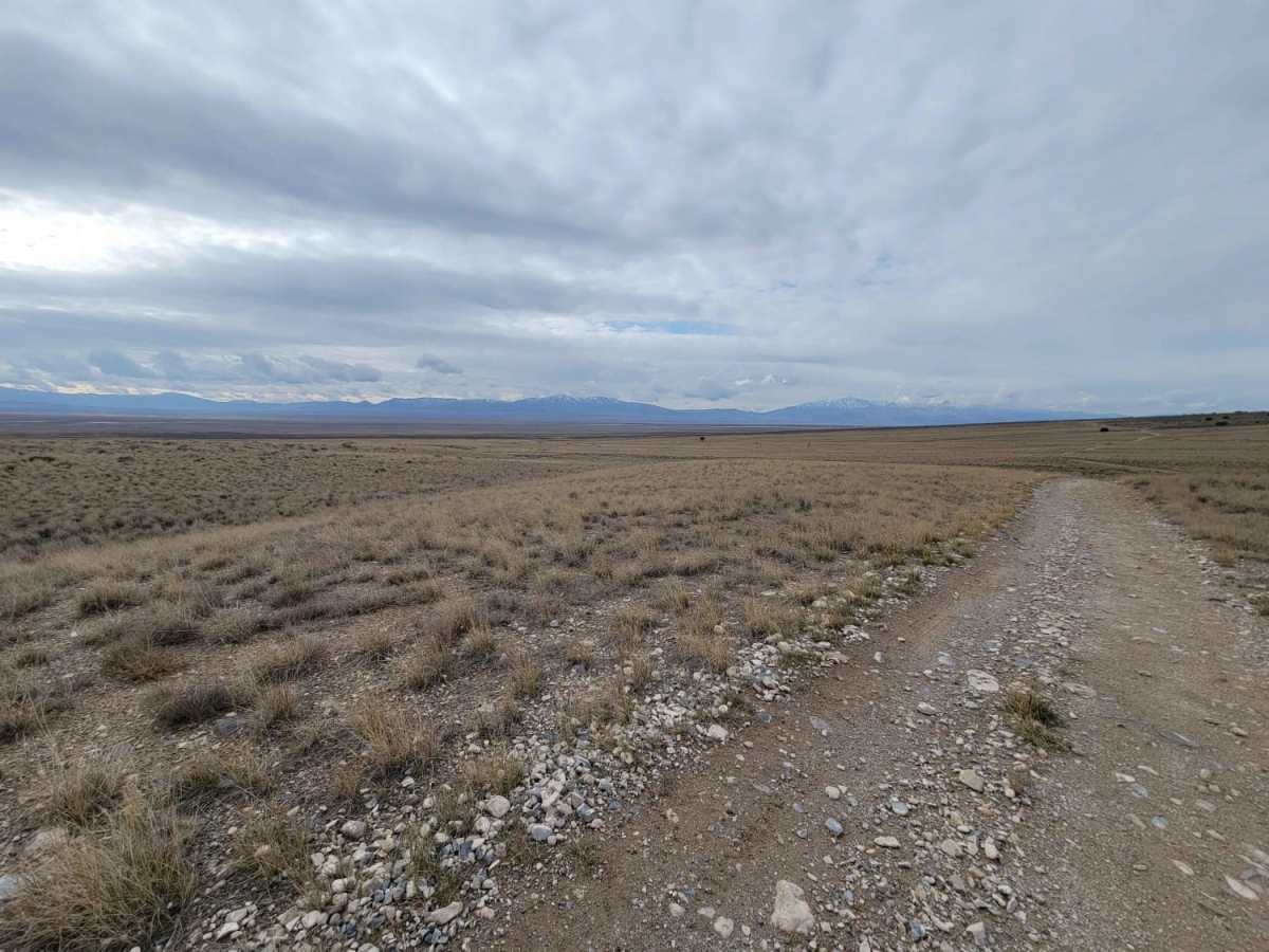 Pack Trail 1 photo 2