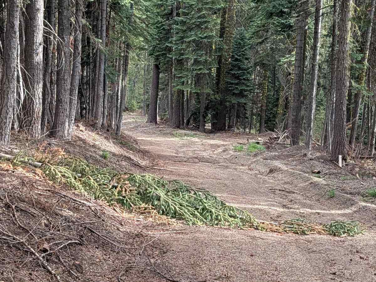 Garner - FS 43N36 trail photo