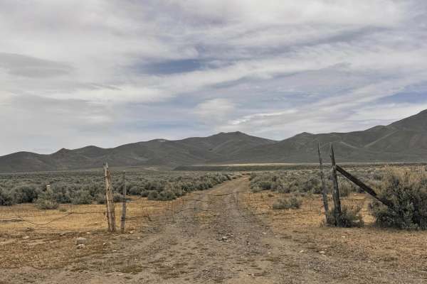 Cottonwood Canyon