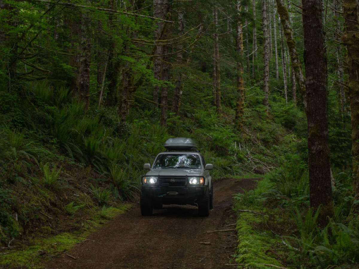 Bacon Creek photo 4