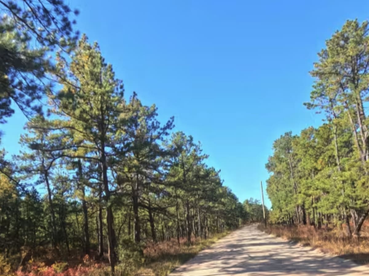 Friendship Speedwell Road photo 4