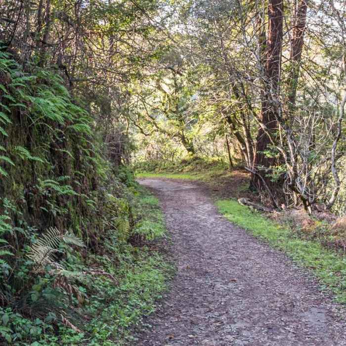 Near Enchanted Trail Hike