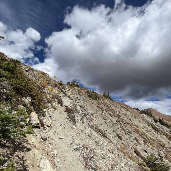 Near Avery Peak Summit Trail