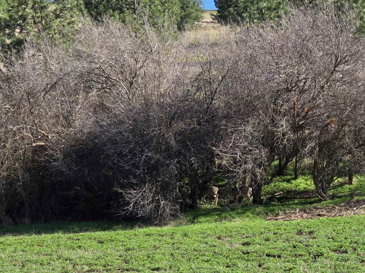 Davis Hollow Road photo 4