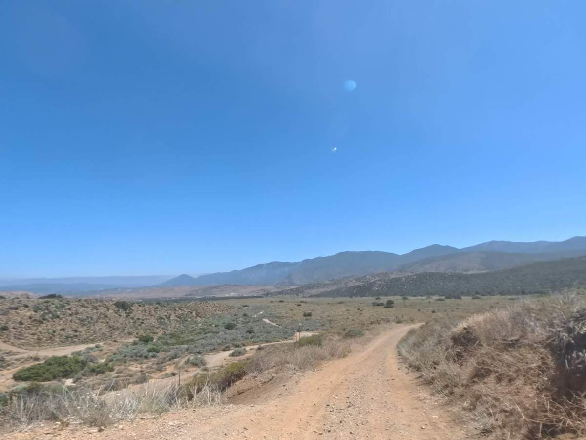 Meadows Trail - Upper Segment photo 5