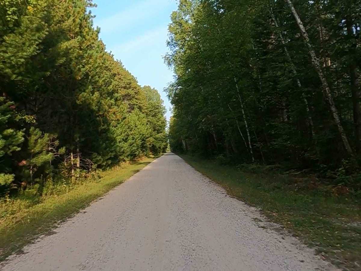 Burma Road - FS 3124-9385 (ORV Route A) photo 4