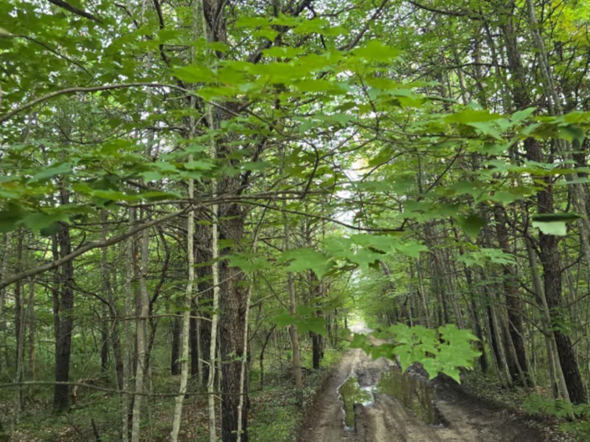 North Meridian Road photo 3