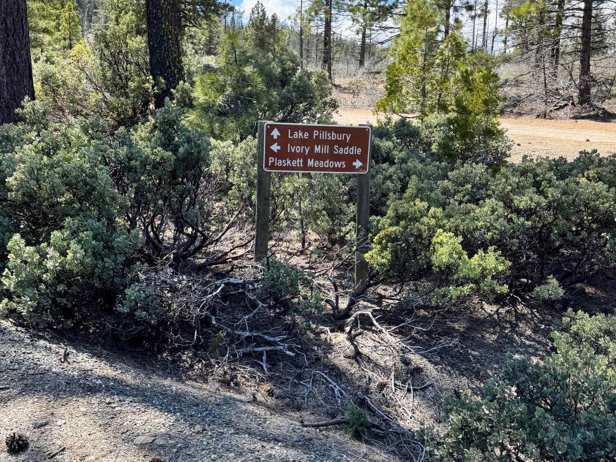 Road 311 photo 5