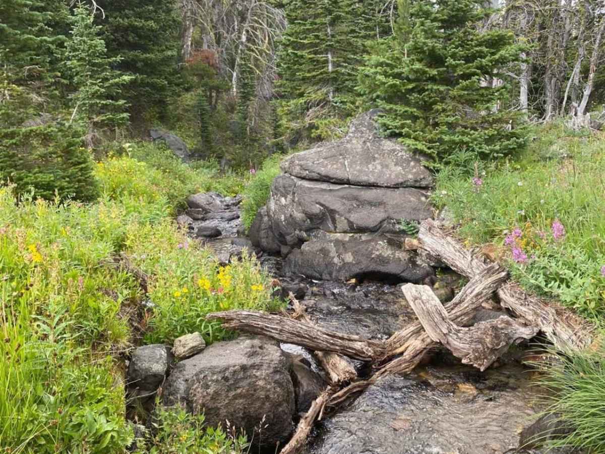 Cliff Lake Trail photo 4