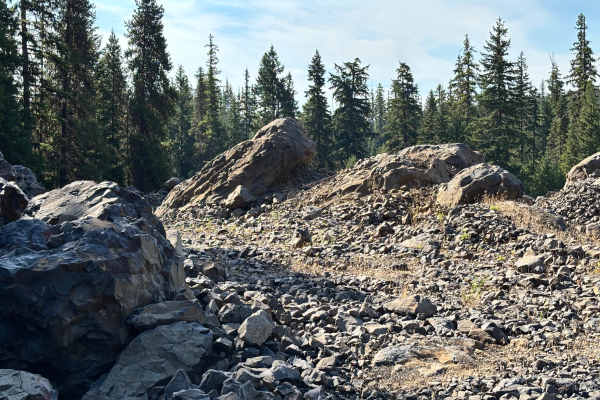 Rocky Acres