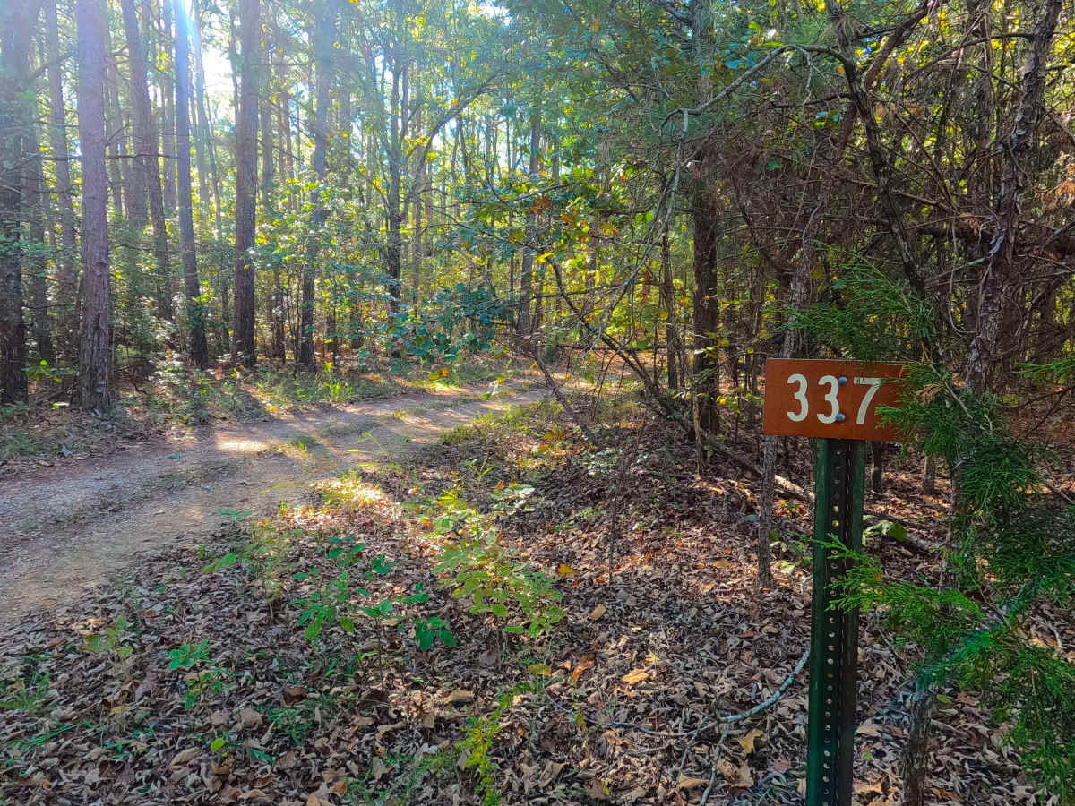 Cassidy Cemetery - FS 337 trail photo