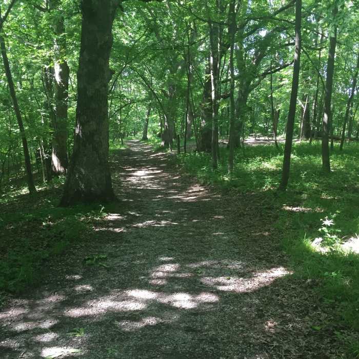 Near Field Campus Trail