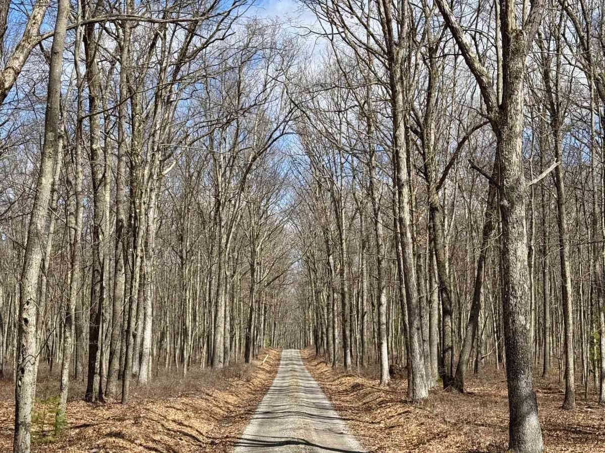 Round Island Road trail photo