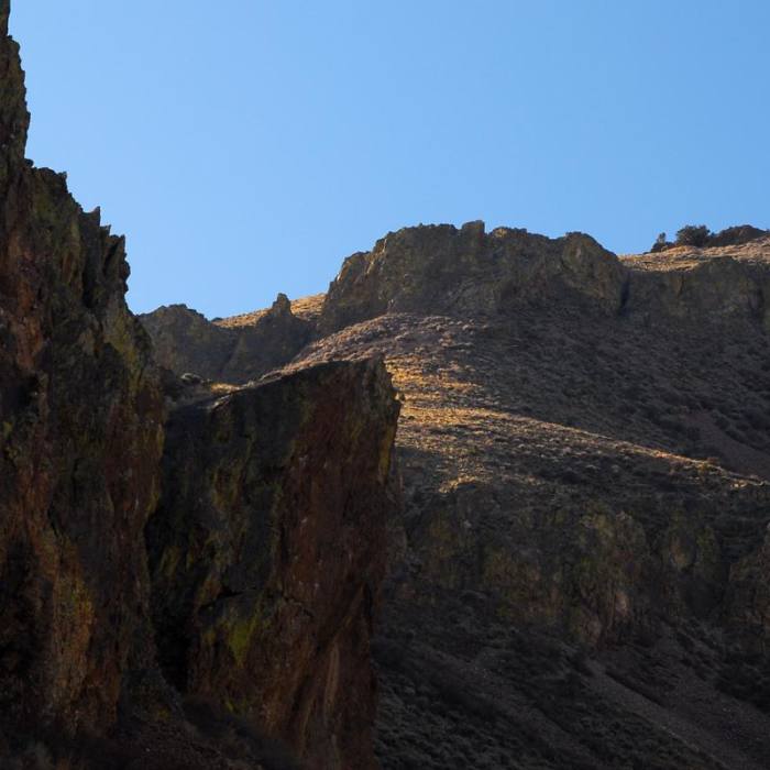 Near Pike Creek Mine Hike Near Pike Creek Mine Hike