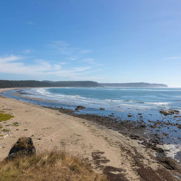 Near Ozette Triangle