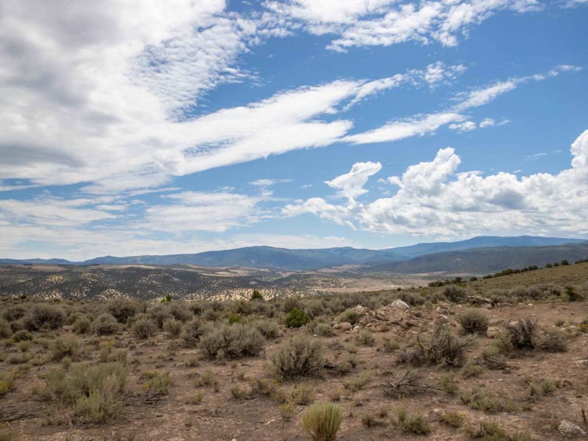 Black Mountain Road photo 6