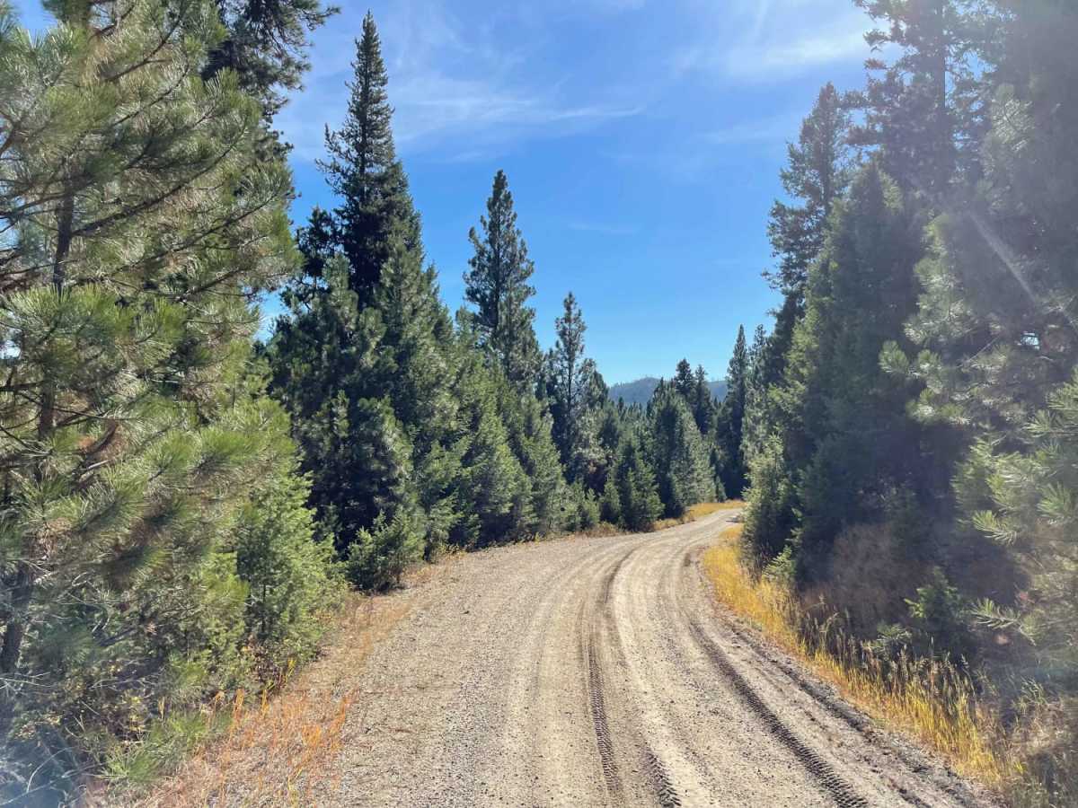 Coal Creek to Blue Joint photo 5