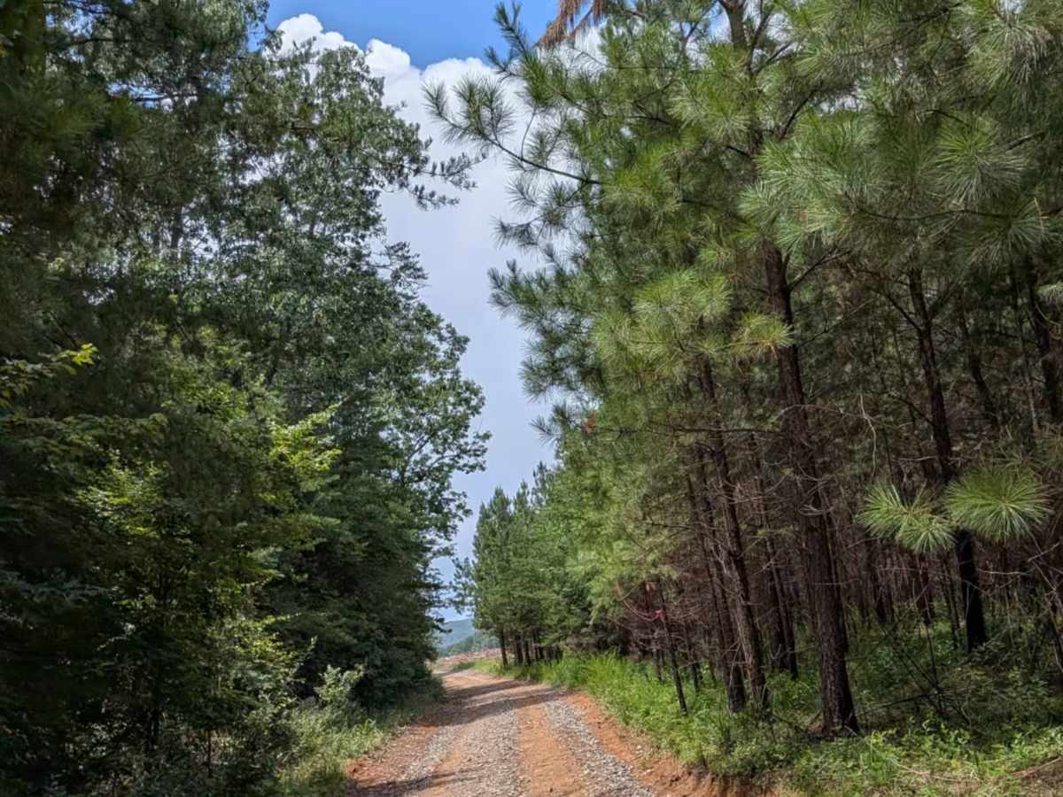 Sheep Rock Road photo 5