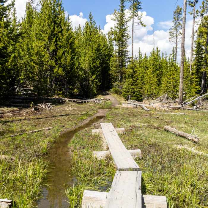 Near Lake Overlook Trail Near Lake Overlook Trail