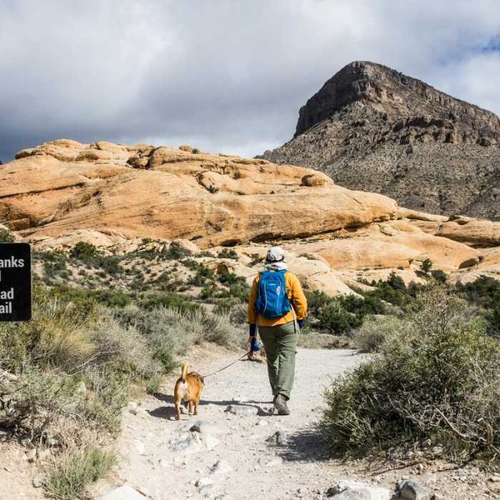 Near Calico Tanks Trail