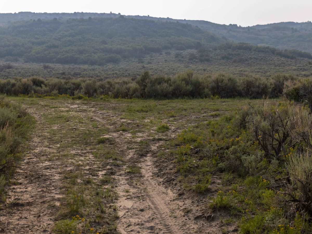 Wide Hollow photo 5