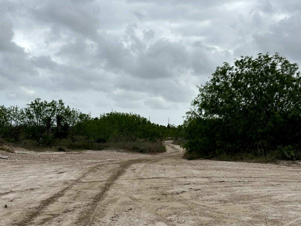 Mud to Sand Hills photo 3