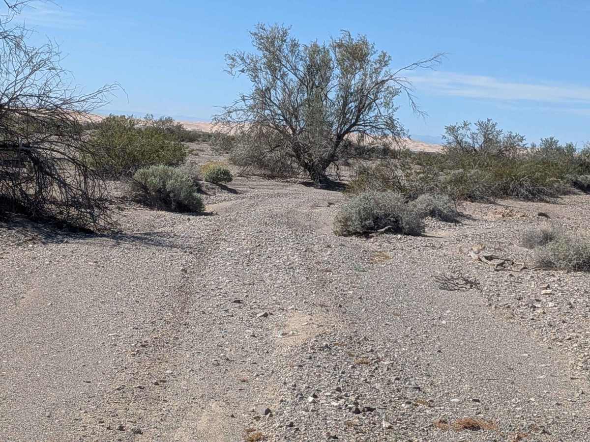 BLM 776 photo 6