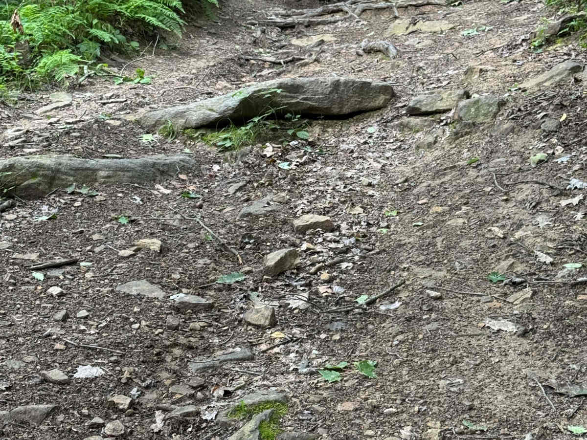 Trail 25 photo 6
