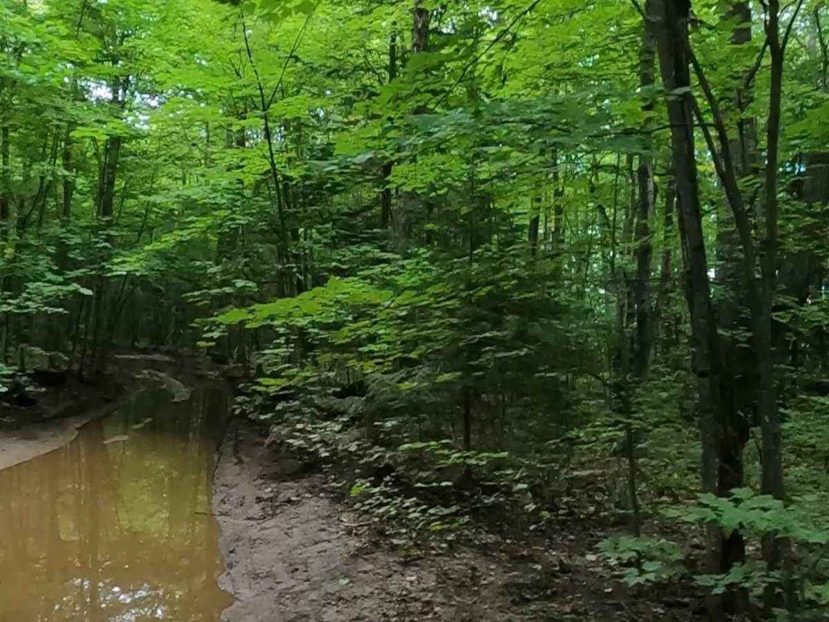 Oak Ridge - FS 3089 photo 2