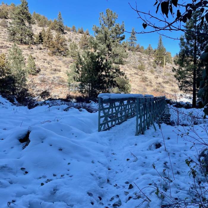 Near Old Paul Bunyan Road + Canyon Trail Loop