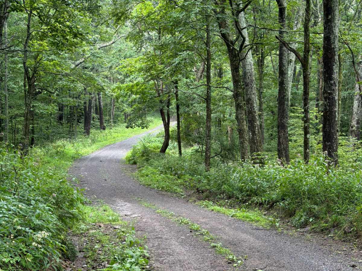 Briery Run Road - CFR 29 photo 4