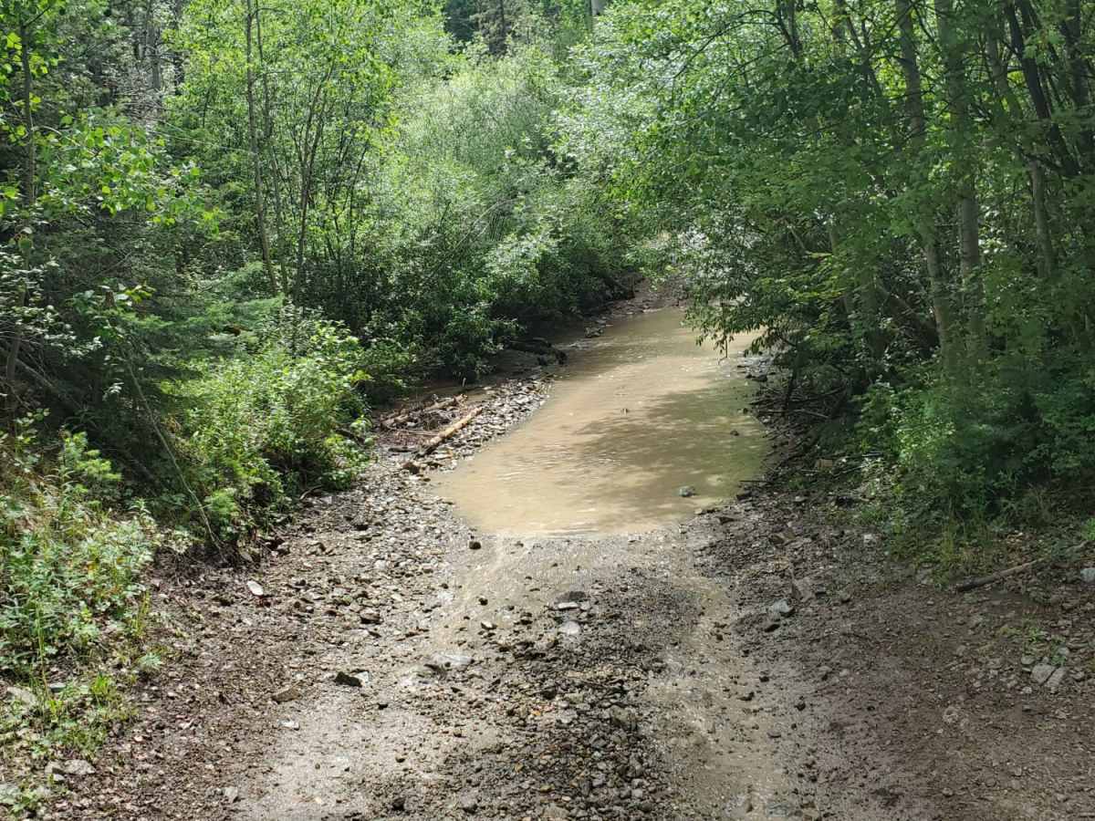 Pioneer Creek photo 5