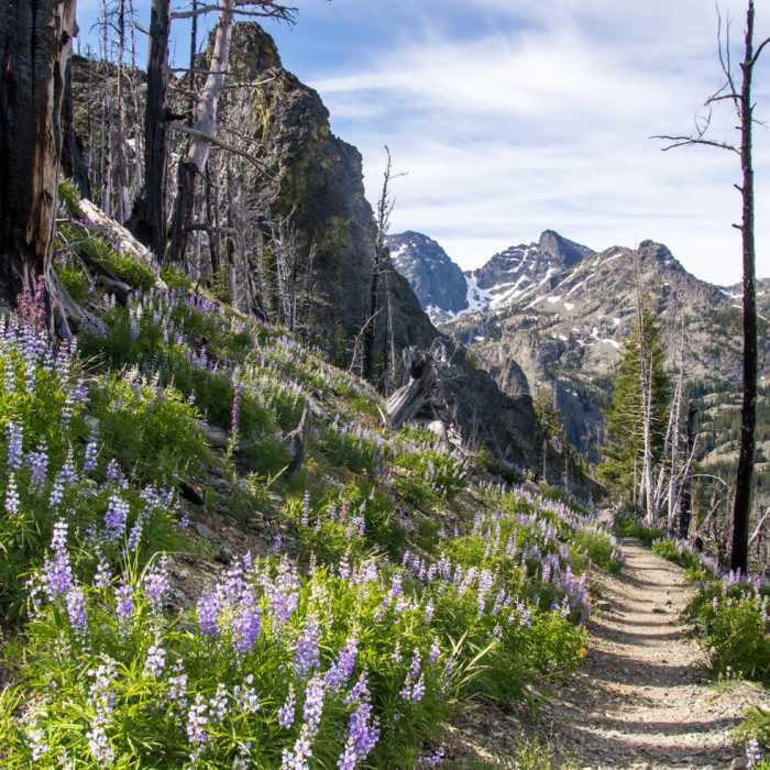 Near Seven Devils: Windy Saddle to Sheep Lake