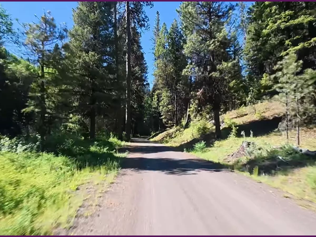 FS 24 trail photo