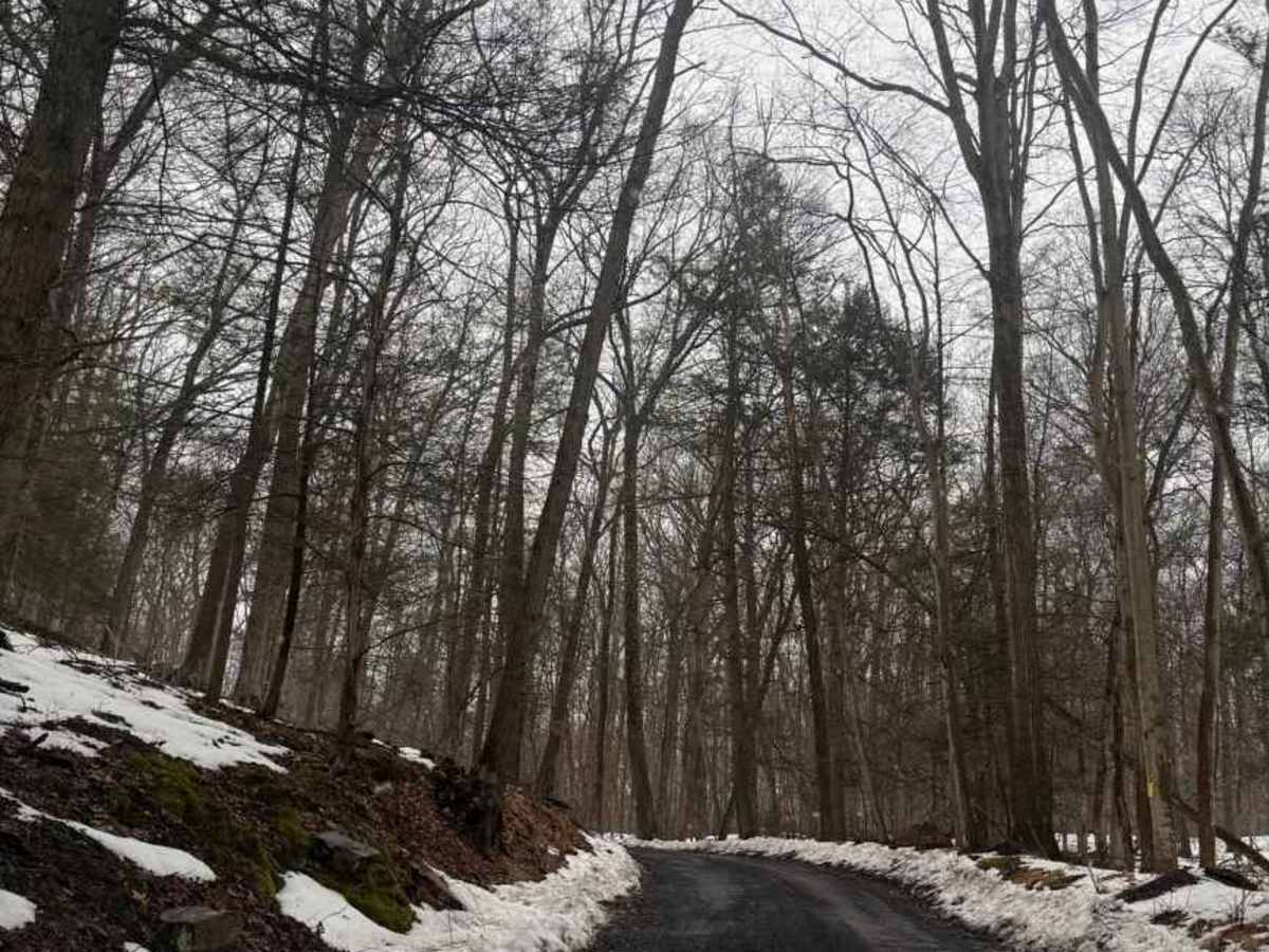 Mount Airy Road  photo 5