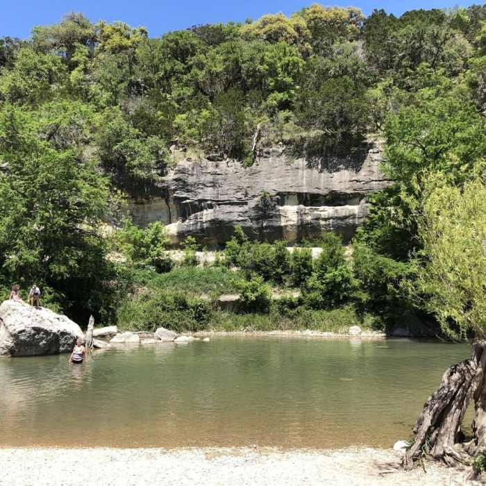 Near Bald Cypress Trail