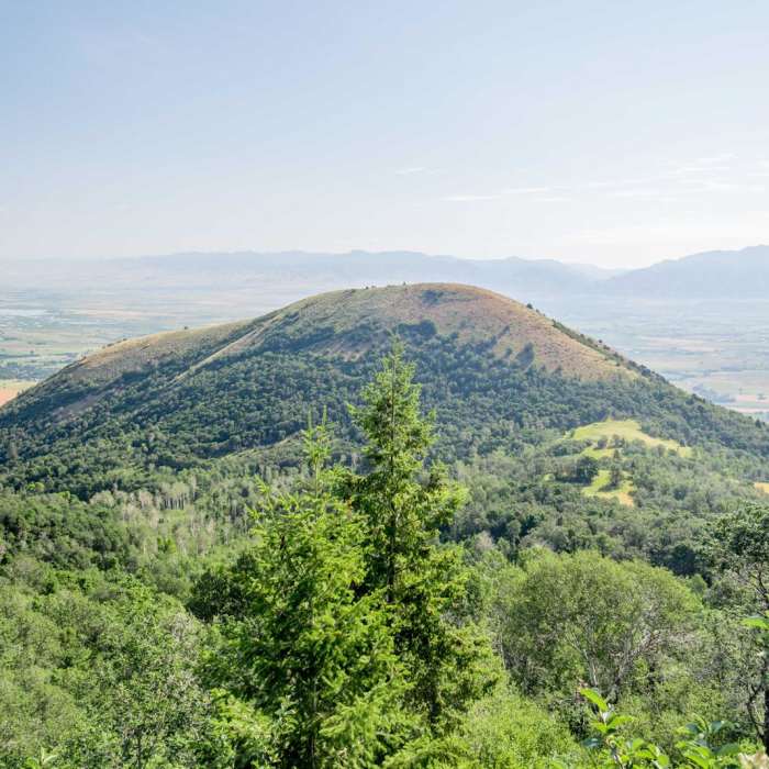 Near Coldwater Canyon