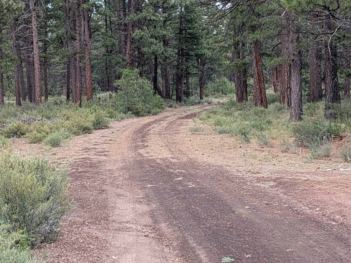 Antelope Well - FS 45N04 photo 6