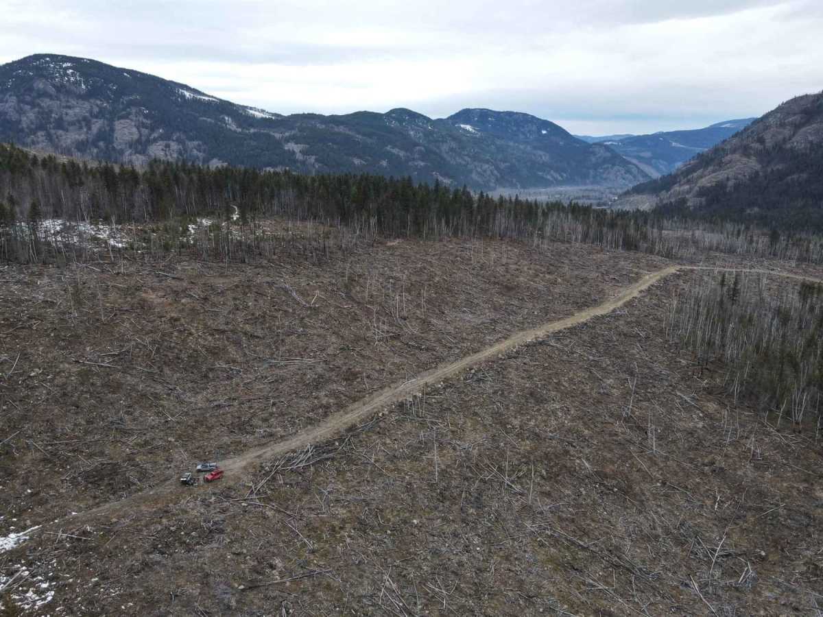 Dunn Lake Road photo 2