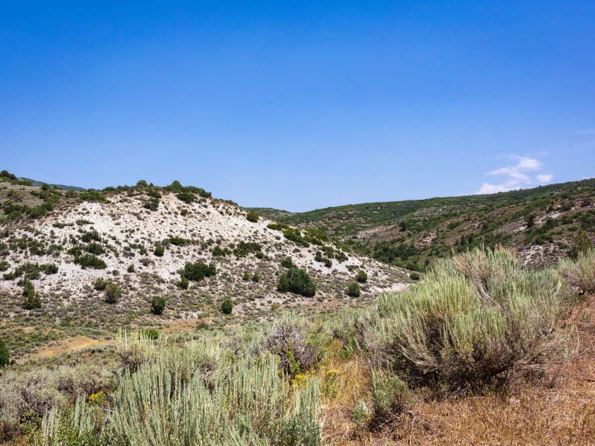 Sheep Creek - FS 70051 photo 4