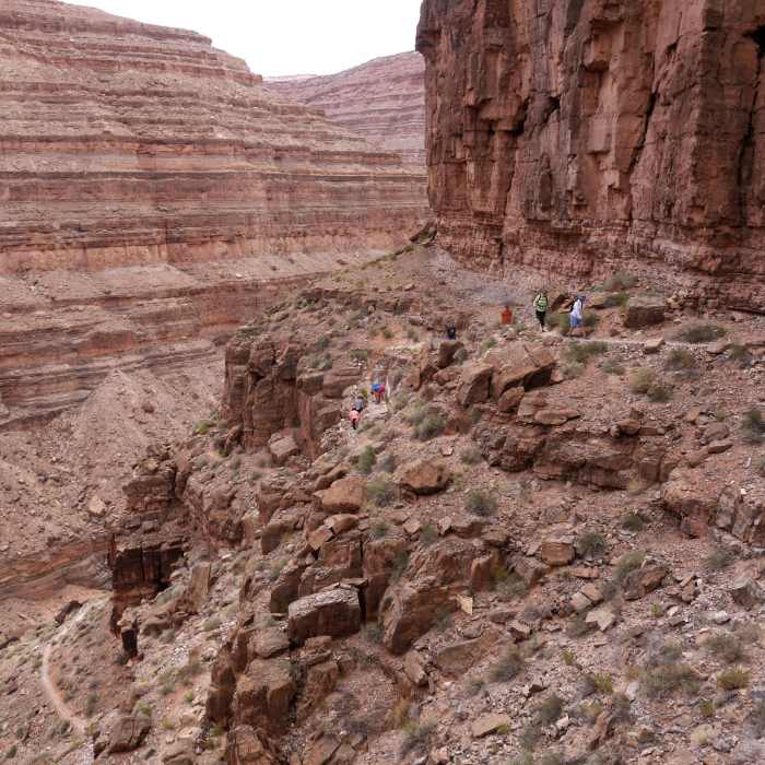 Hikers ascend the Honaker Trail. Near Honaker Trail