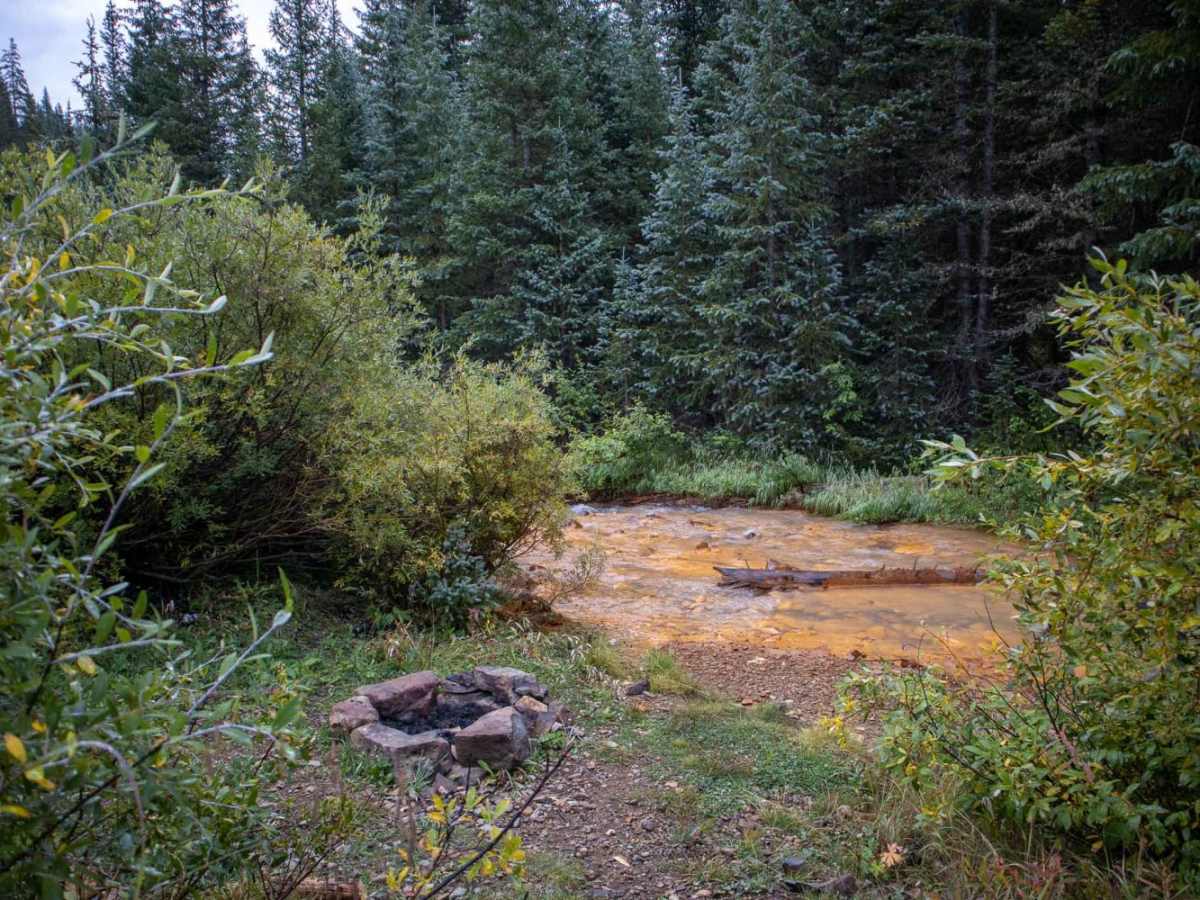 Middle Fork Mineral Creek photo 4