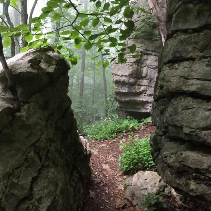 Near Arrowhead Trail
