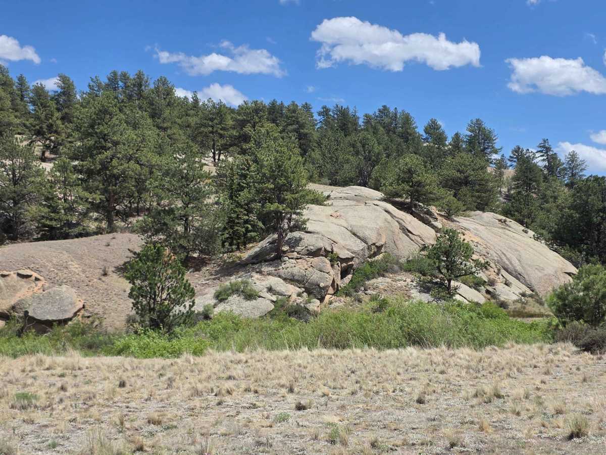 Fish Creek Road - FS 877 trail photo