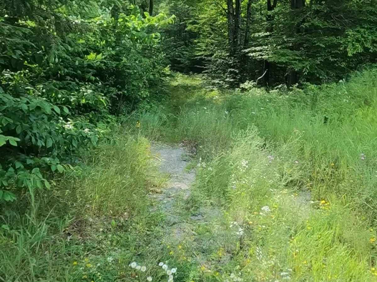 Kenobo Lake North - FSR 2024 trail photo