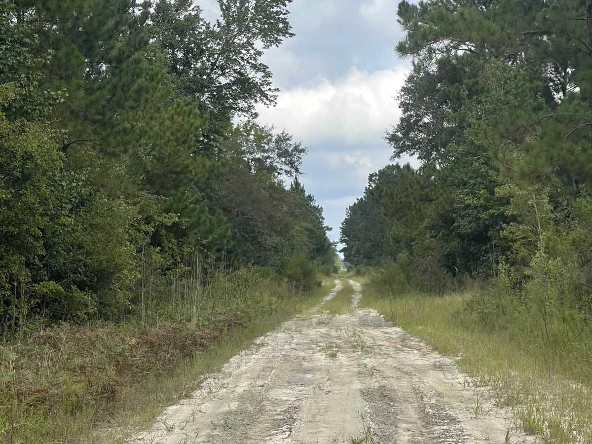 Patrick Road photo 3
